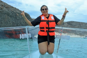 La Paz: Transparent Boat Tour with Mushroom Rock