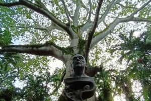 Museo de la Venta y Parque Tomás Garrido