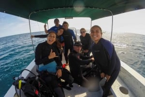 La Ventana: Scuba Divind Certified Divers Group Of 2