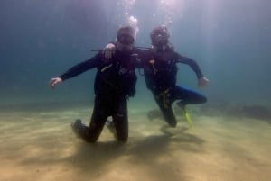 La Ventana: Scuba Divind Certified Divers Group Of 2