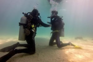 La Ventana: Scuba Divind Certified Divers Group Of 2