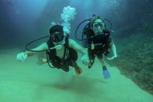 La Ventana: Scuba Divind Certified Divers Group Of 2