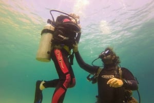 La Ventana: Scuba Divind Certified Divers Group Of 2