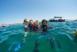 La Ventana: Scuba Divind Certified Divers Group Of 2