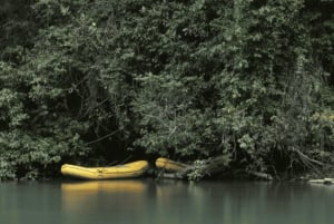 Selva Lacanjá: Expedición de 5 días en Rafting por el Río Lacanjá