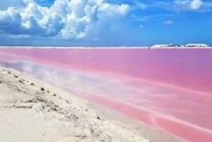 Las Coloradas + Rio Lagartos Private tour