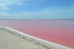 Las Coloradas + Rio Lagartos Private tour