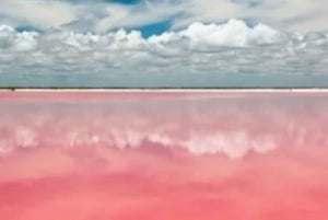 Las Coloradas + Rio Lagartos Private tour