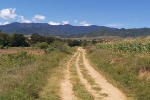 “Las Nieves” Monte Albán, Arrazola, Cuilapam 6h Bike Tour