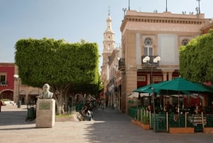 León: Visita guiada por el centro de la ciudad con degustación de Nieve de Garrafa