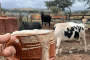 Leon: Cristero Rebellion Guided Tour with Breakfast