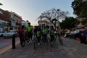 León: Tour de la ciudad por el centro histórico