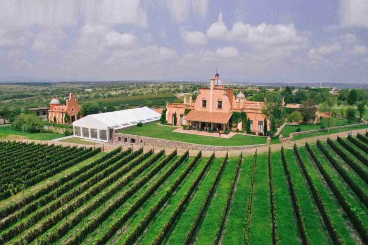 León: Viñedo Tierra de Luz Tour con Cata de Vinos