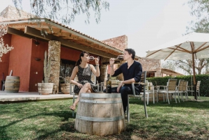 León: Viñedo Tierra de Luz Tour con Cata de Vinos