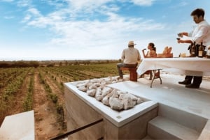 León: Ruta del Vino en Viñedo Leones y Exploración del Centro de la Ciudad