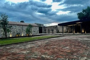 León: Ruta del Vino en Viñedo Leones y Exploración del Centro de la Ciudad