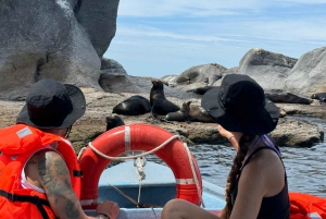 Loreto: Bahia de Loreto National Park Boat Tour & Snorkeling