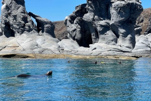 Loreto: Bahia de Loreto National Park Boat Tour & Snorkeling