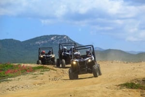 Beach & Desert UTV Tour in Cabo