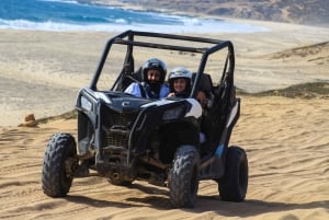 Beach & Desert UTV Tour in Cabo