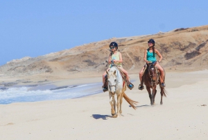 Los Cabos: 2 in 1 Combo Tour