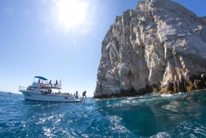 Los Cabos 3-Hour Certified Scuba Diving Tour