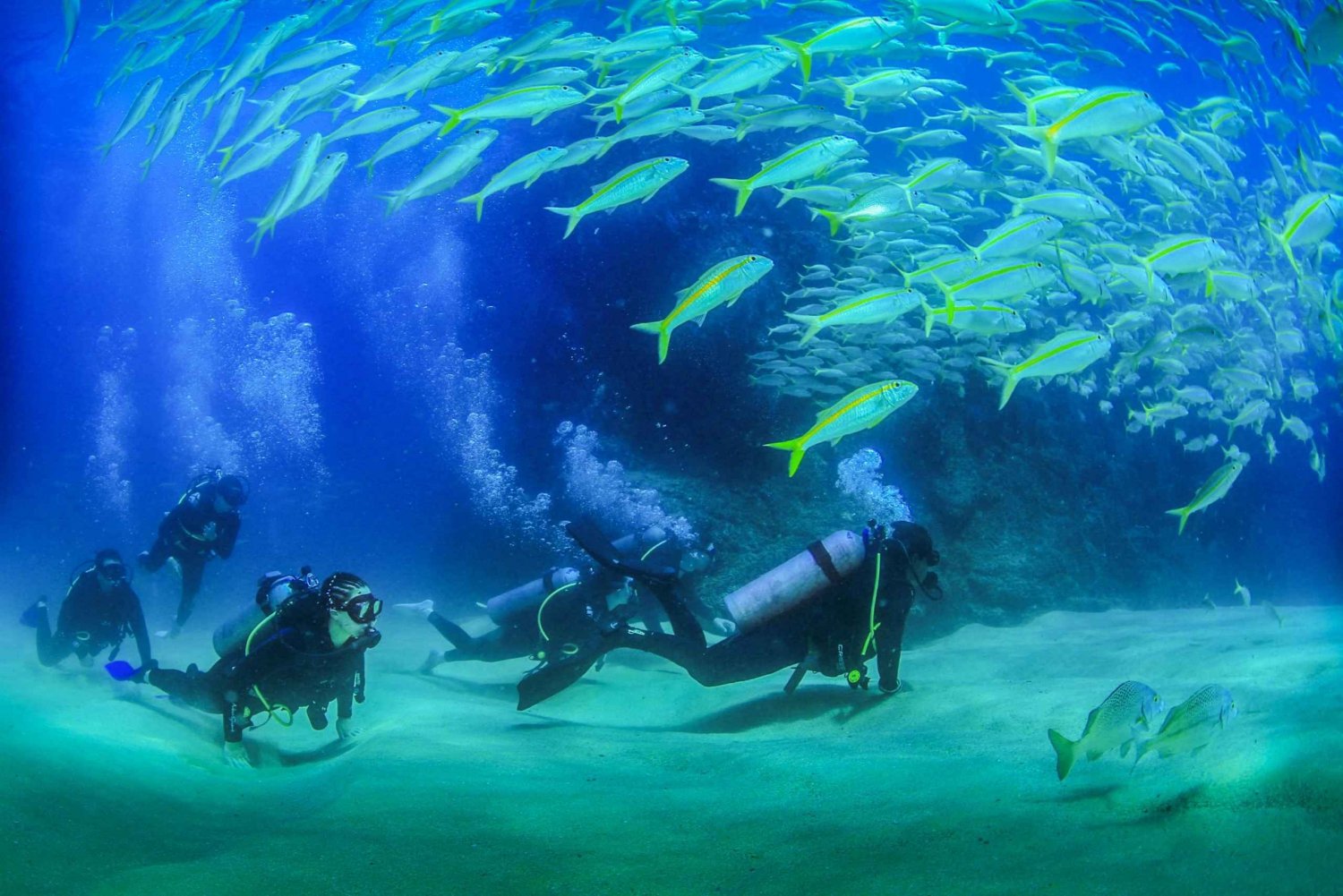 Los Cabos: Aventura de 3 horas de iniciación al submarinismo