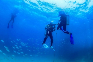 Los Cabos: 3-Hour Introductory Scuba Diving Adventure