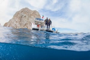 Los Cabos: Aventura de 3 horas de iniciación al submarinismo