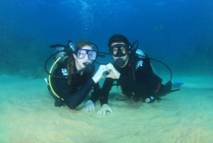 Los Cabos: Aventura de 3 horas de iniciación al submarinismo