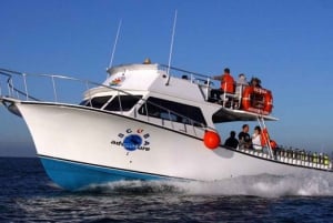 Los Cabos: Aventura de 3 horas de iniciación al submarinismo