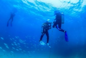 Los Cabos: Aventura de 3 horas de iniciación al submarinismo