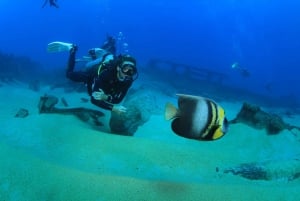 Los Cabos: Aventura de 3 horas de iniciación al submarinismo