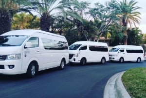 Aeropuerto de Los Cabos: Transporte en grupo a Cabo San Lucas