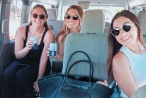 Los Cabos: Airport Private Transfer