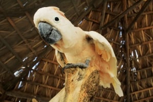 Los Cabos: Tour Santuario Animal