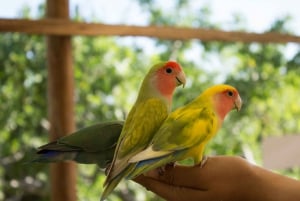 Los Cabos: Animal Sanctuary Tour