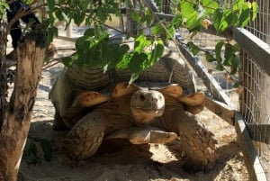 Los Cabos: Animal Sanctuary Tour