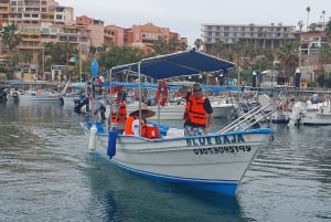 TOUR ARCO DE LOS CABOS Y PLAYA DEL AMANTE + TOUR DE SNORKEL