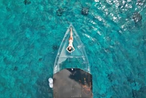 Los Cabos Arch & PelicanRock Cabo San Lucas CrystalBoat Tour