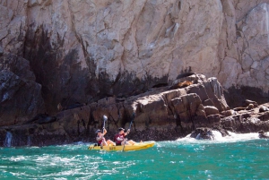Los Cabos Arch & Playa del Amor Tour by Glass Bottom Kayak
