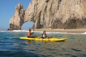 Los Cabos Arch & Playa del Amor Tour by Glass Bottom Kayak
