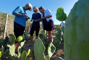 Los Cabos: Clase de Cocina de la Granja a la Mesa de Taco de Cactus Azteca