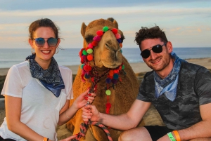 Los Cabos: Camel Safari Adventure