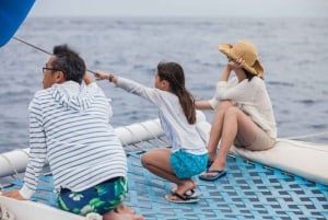 Los Cabos: Catamaran Whale Watching Cruise