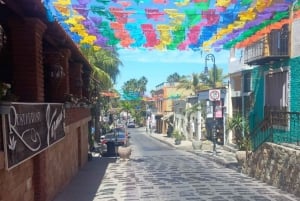 Los Cabos: Tour de la ciudad San José del Cabo, Cabo San Lucas