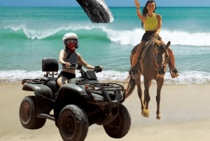 Los Cabos: Combo ATV/HORSEBACK Y OBSERVACIÓN DE BALLENAS