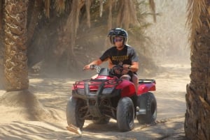 Los Cabos: Combo ATV/HORSEBACK Y OBSERVACIÓN DE BALLENAS