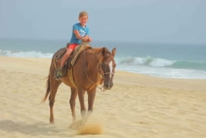 Los Cabos: Combo ATV/HORSEBACK Y OBSERVACIÓN DE BALLENAS