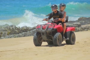 Los Cabos: Combo ATV/HORSEBACK Y OBSERVACIÓN DE BALLENAS